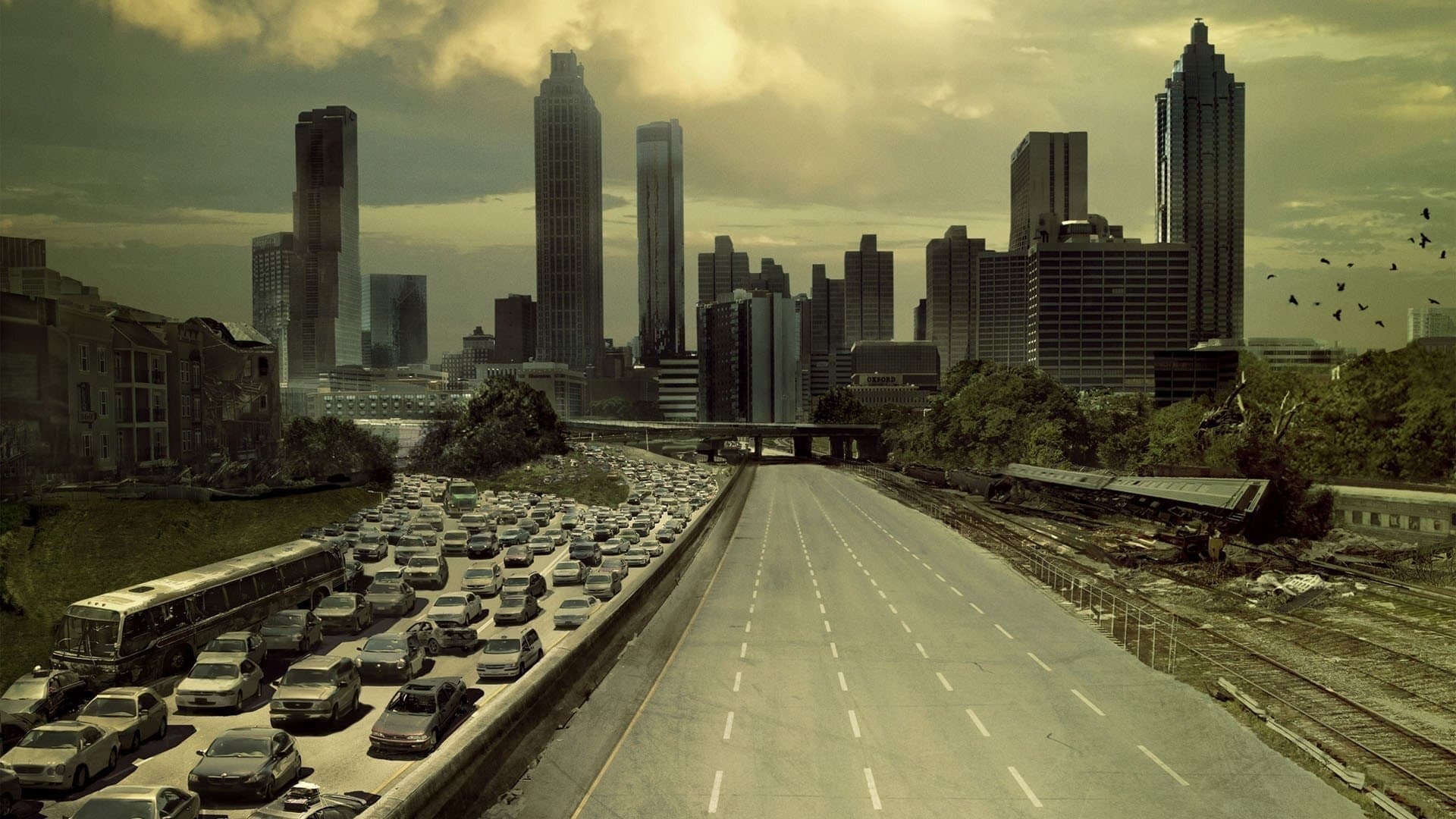 دانلود سریال مردگان متحرک The Walking Dead 2010