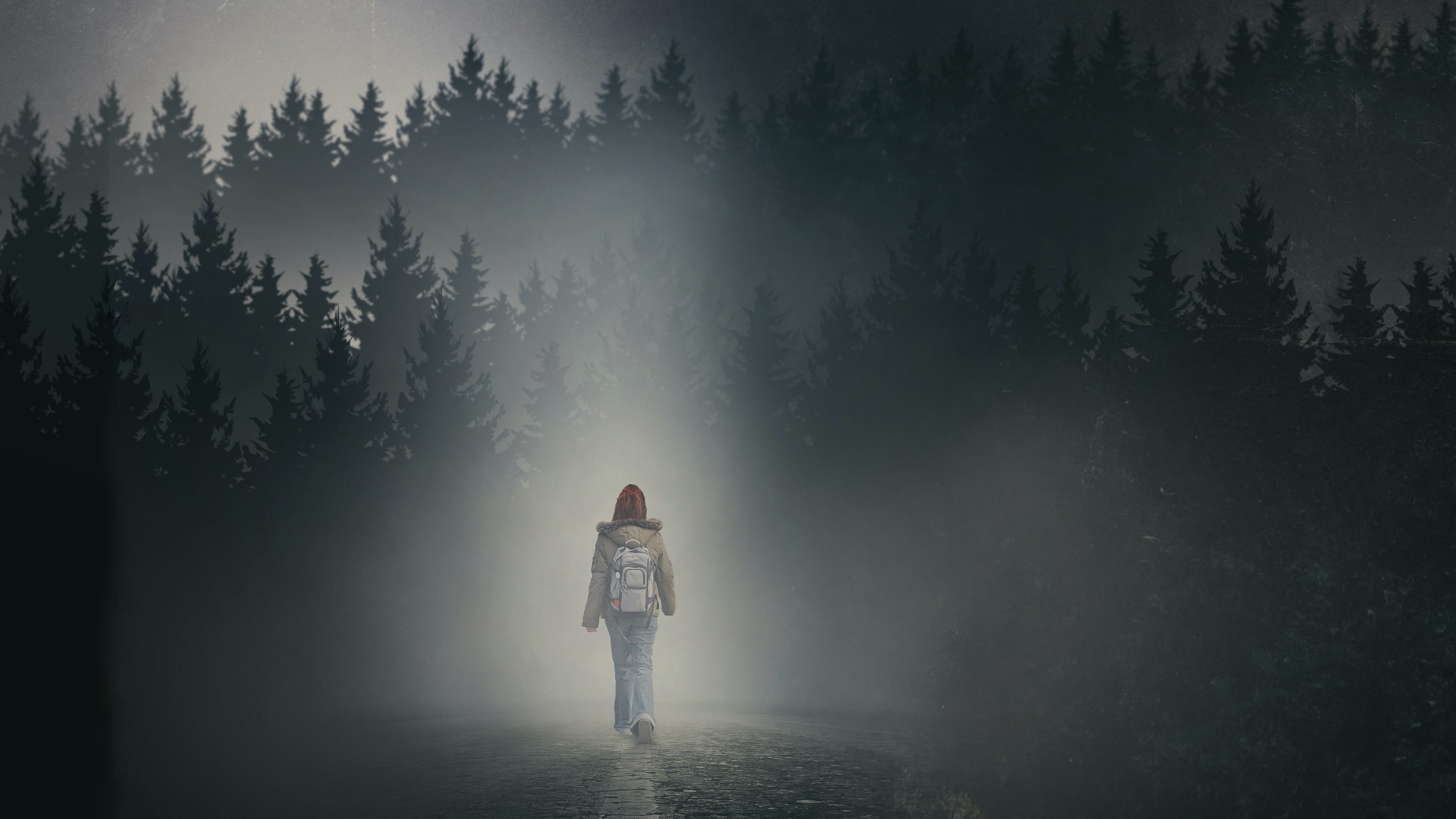 دختری در مه The Girl in the Fog 2017